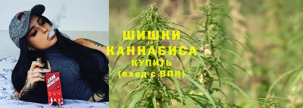 шишки Абинск