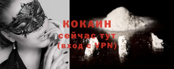 шишки Абинск
