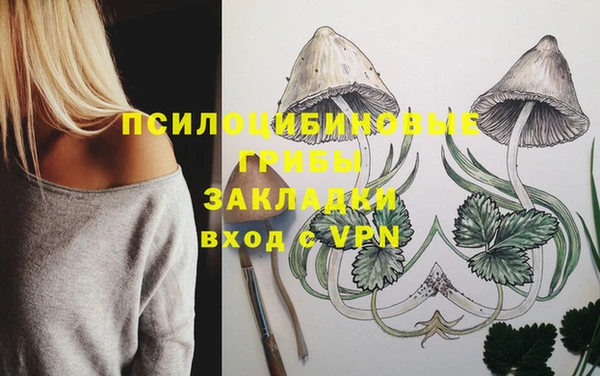 кристаллы Абаза