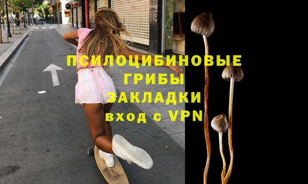 спиды Алзамай