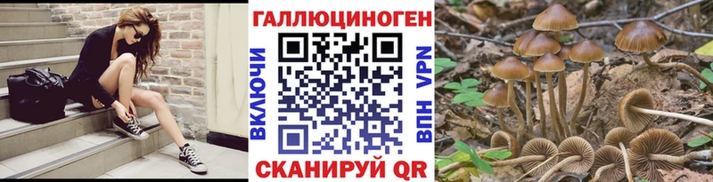 как найти закладки Усть-Лабинск ссылка на мегу как зайти Псилоцибиновые грибы Magic Shrooms